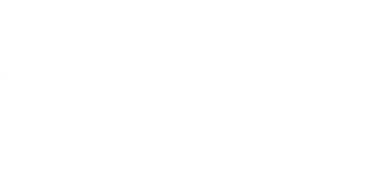 Patric Jasper Büroservice Offenburg Logo